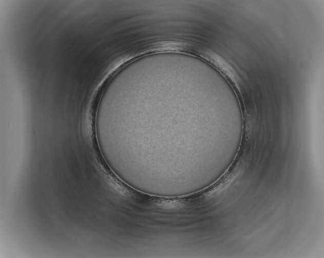 X0000111880835200908061312