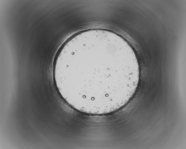 X0000111880836200908061312