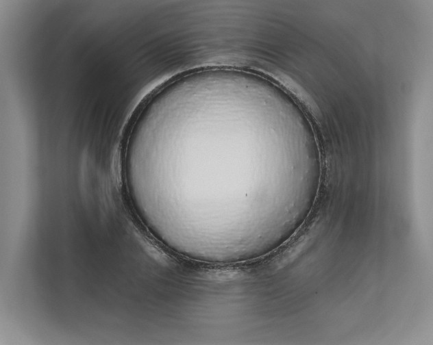 X0000111880838200908061312