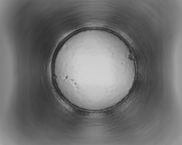 X0000111880840200908061312