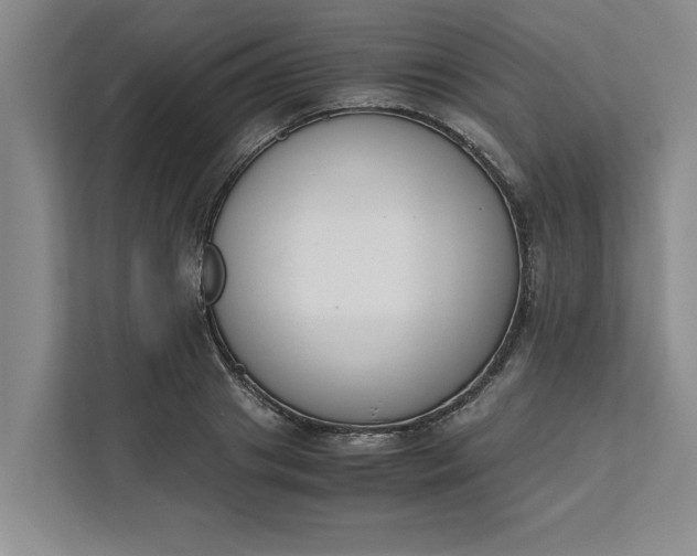 X0000111880841200908061312