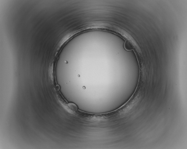 X0000111880842200908061312