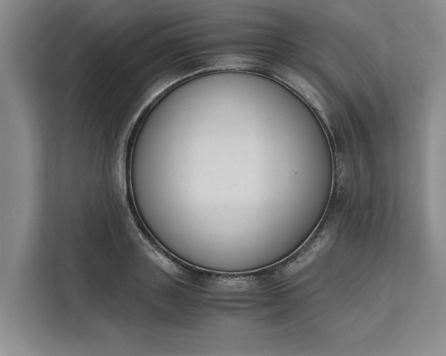 X0000111880843200908061312