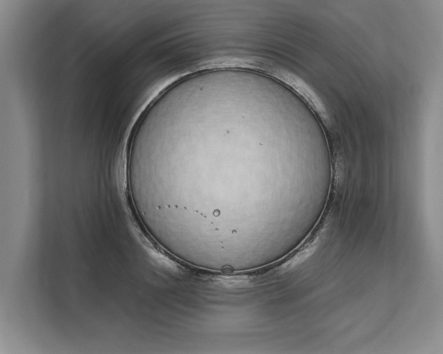 X0000111880844200908061312