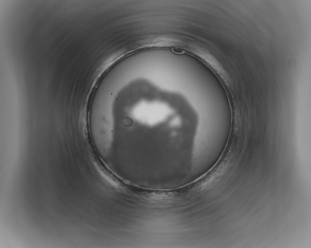 X0000111880850200908061312