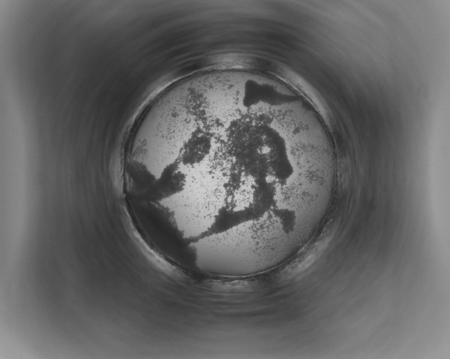 X0000111880851200908061312