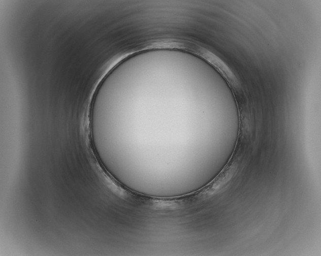 X0000111880852200908061312