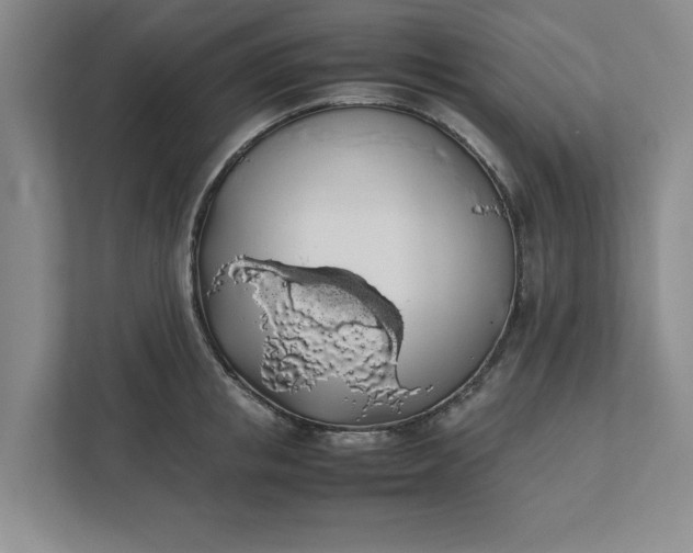 X0000111880853200908061312