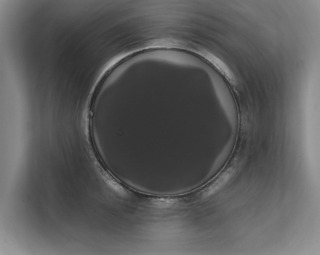 X0000111880854200908061312