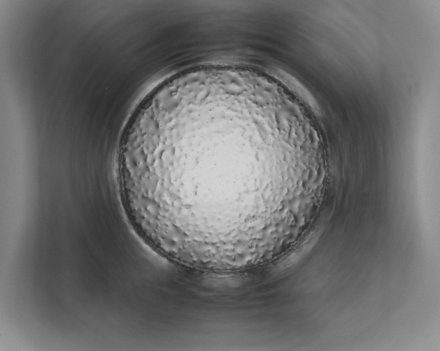 X0000111880855200908061312