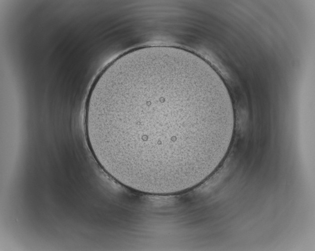 X0000111880856200908061312