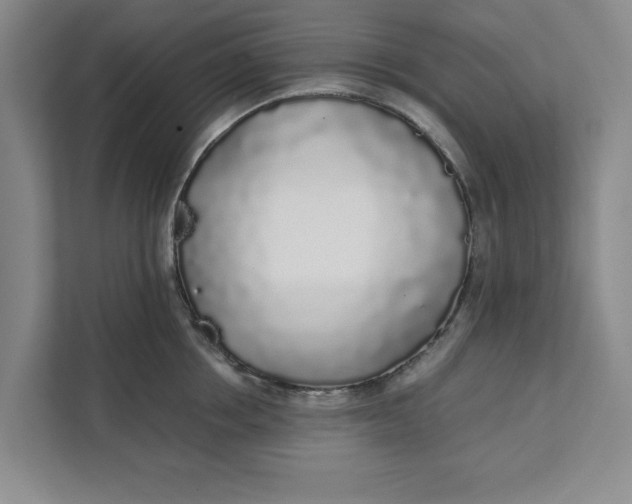 X0000111880858200908061312