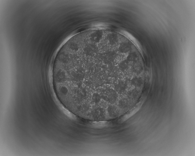 X0000111880859200908061312