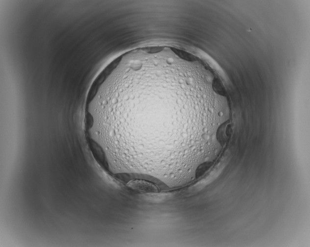 X0000111880860200908061312