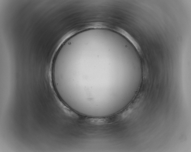 X0000111880861200908061312