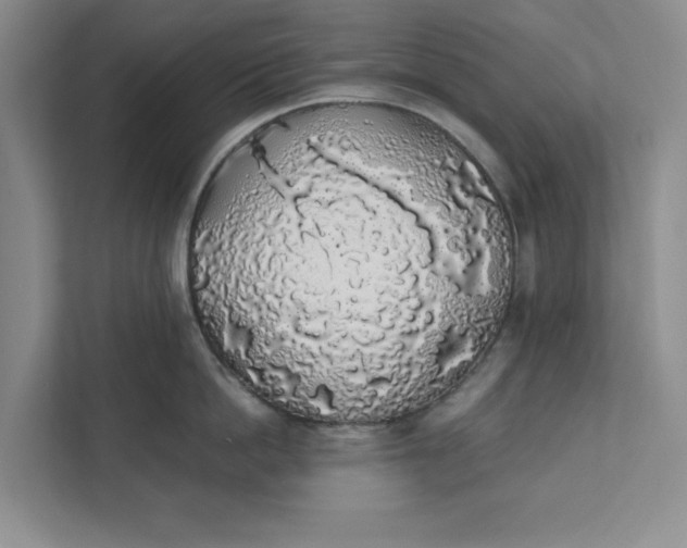 X0000111880862200908061312