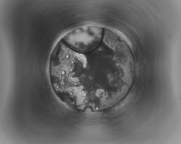 X0000111880863200908061312