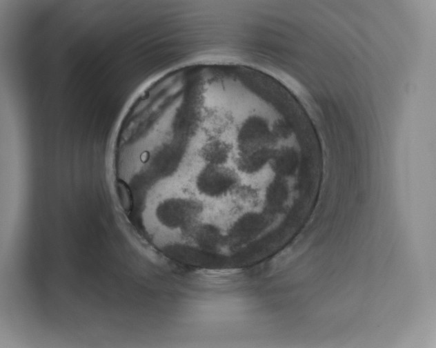 X0000111880864200908061312