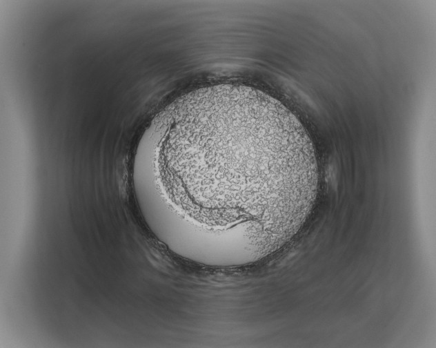 X0000111880868200908061312