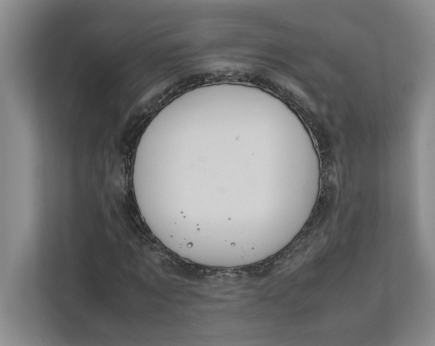 X0000111880869200908061312