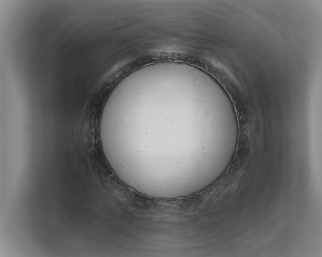 X0000111880870200908061312