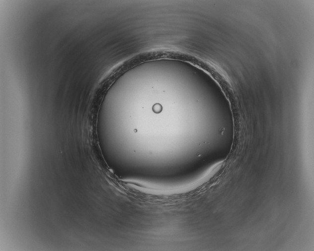 X0000111880872200908061312