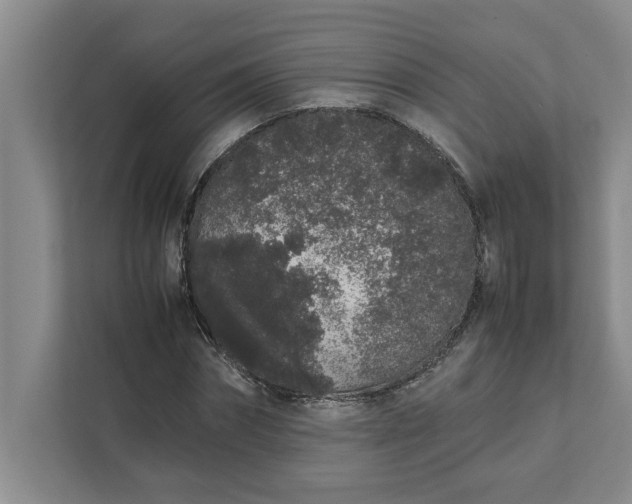 X0000111880874200908061312