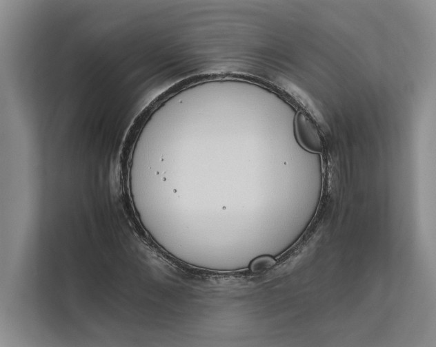 X0000111880876200908061312