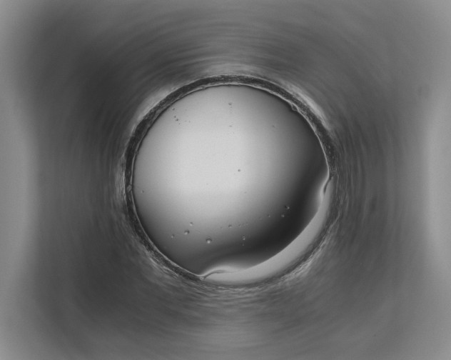 X0000111880877200908061312