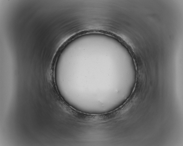 X0000111880879200908061312