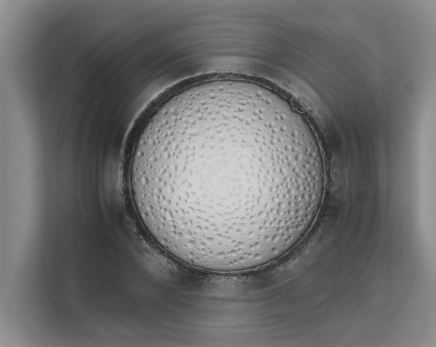 X0000111880880200908061312