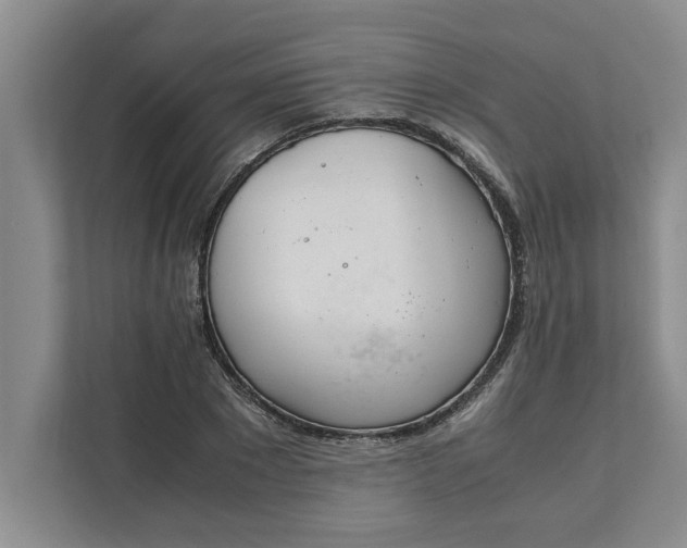 X0000111880881200908061312