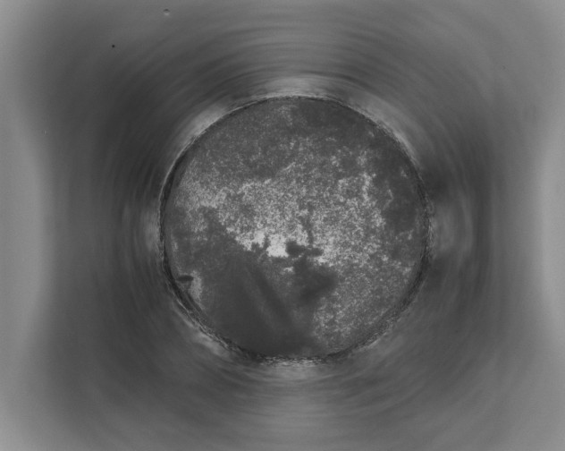 X0000111880882200908061312