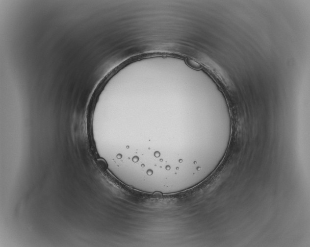 X0000111880884200908061312