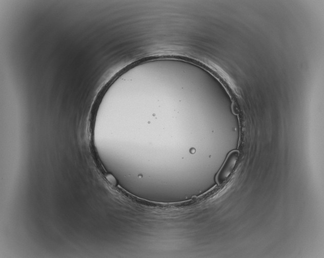 X0000111880885200908061312