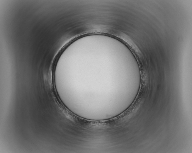 X0000111880886200908061312