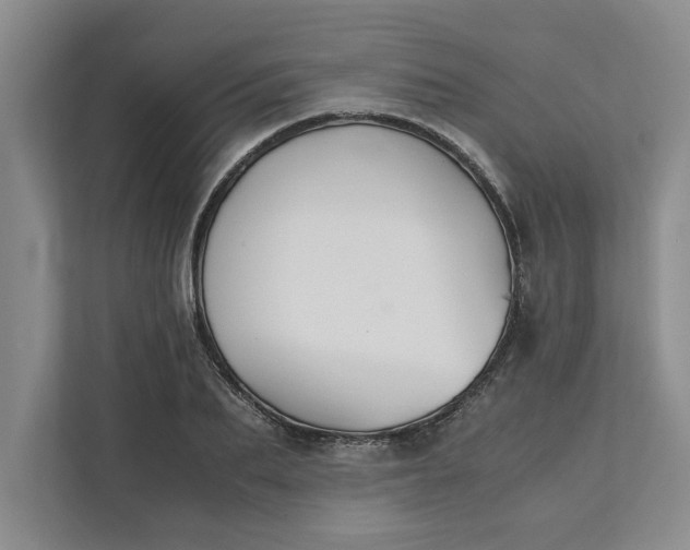 X0000111880887200908061312