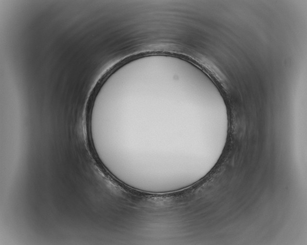 X0000111880888200908061312