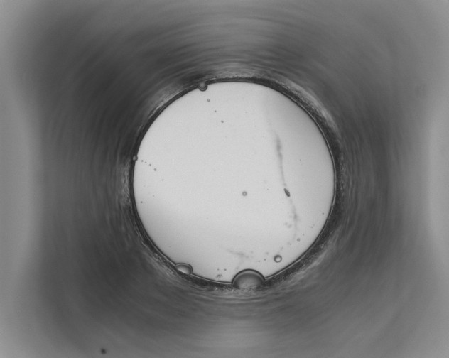 X0000111880889200908061312