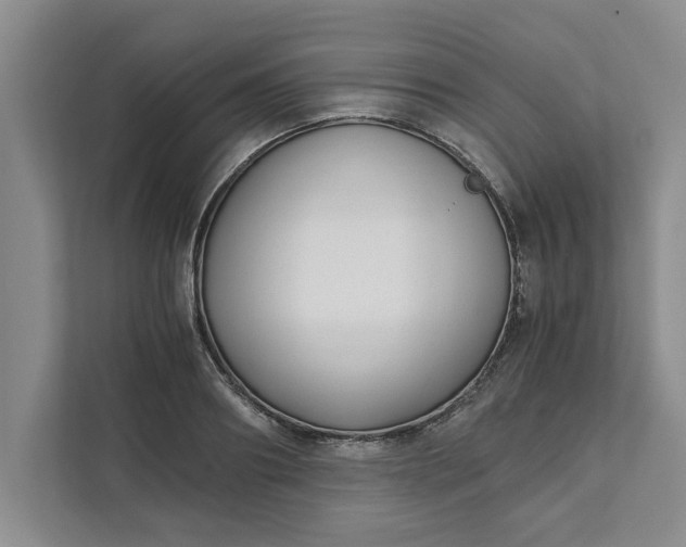 X0000111880890200908061311