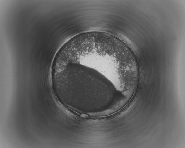 X0000111880892200908061311