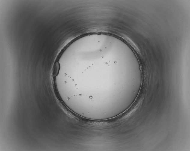 X0000111880893200908061311