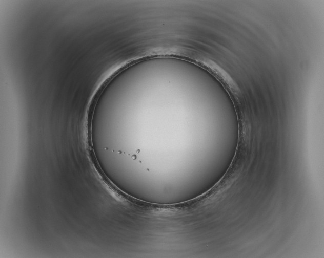 X0000111880894200908061311