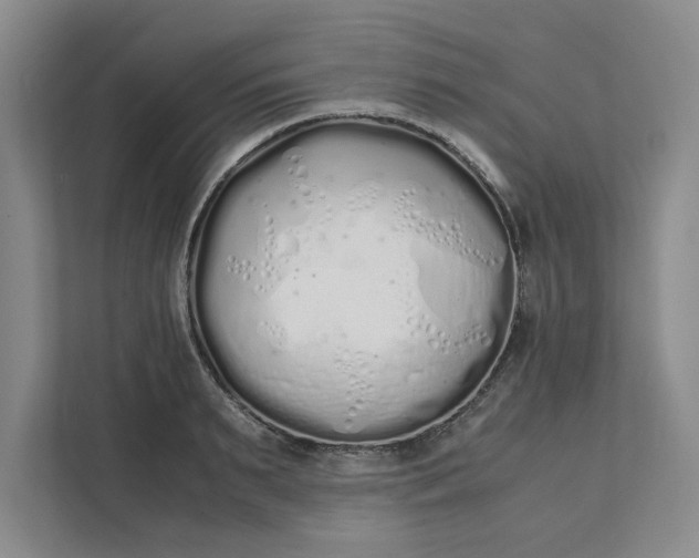 X0000111880895200908061311