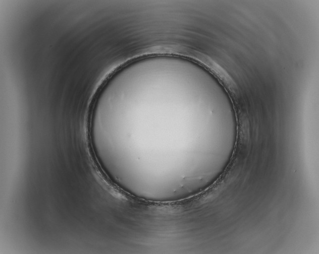 X0000111880896200908061311