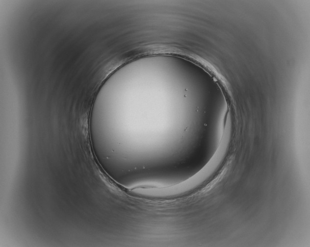 X0000111880897200908061311