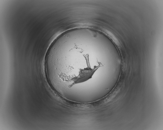 X0000111880899200908061311