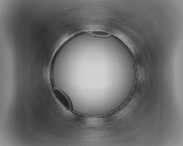 X0000111880901200908061311