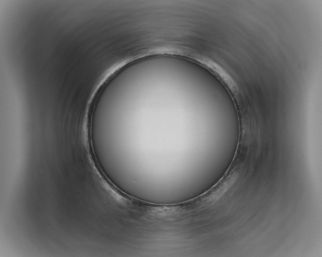 X0000111880902200908061311