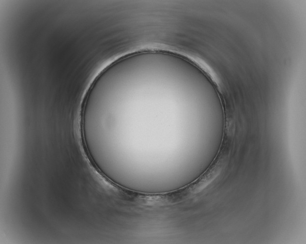 X0000111880903200908061311